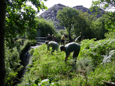 overpumping the dam