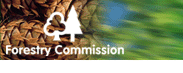 Forestry Commission logo