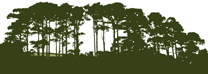 pine trees logo