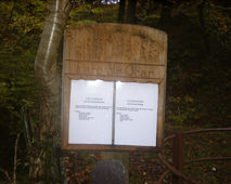 The Top Bench