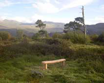 The Top Bench 2