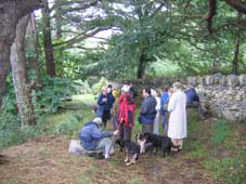 Llyn Coed y Parc