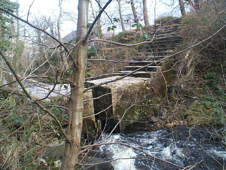 lower dam from upstream